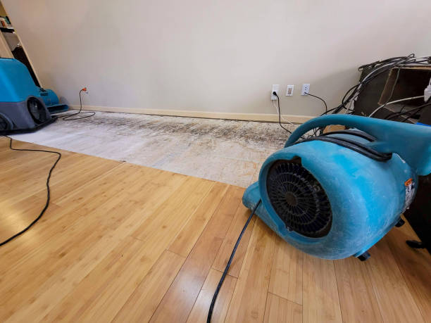 Professional Structural Drying technician working in Frankenmuth, MI